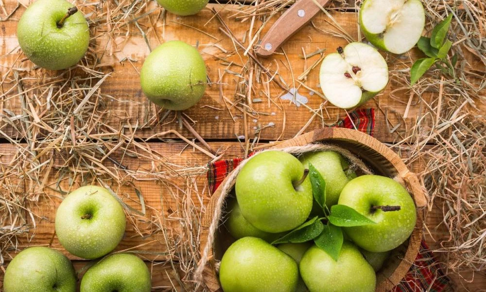 Τα μήλα βοηθούν με τα συμπτώματα της παλινδρόμησης οξέος;